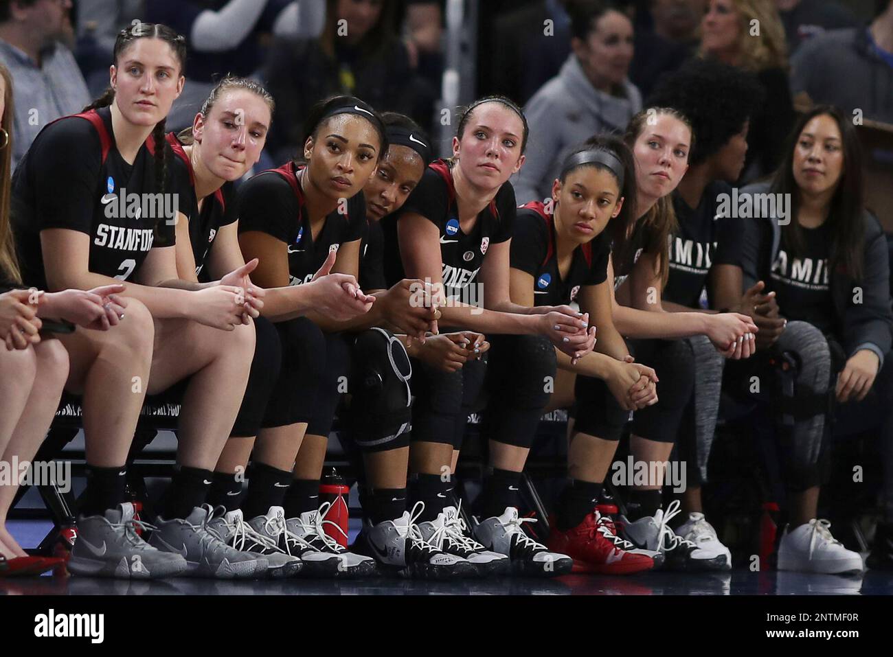 CHICAGO, IL - APRIL 01: Stanford Cardinal bench look on in game action during the Women's NCAA Division I Championship - Quarterfinals game between the Notre Dame Fighting Irish and the Stanford Cardinal on April 1, 2019 at the Wintrust Arena in Chicago, IL. (Photo by Robin Alam/Icon Sportswire) (Icon Sportswire via AP Images) Banque D'Images