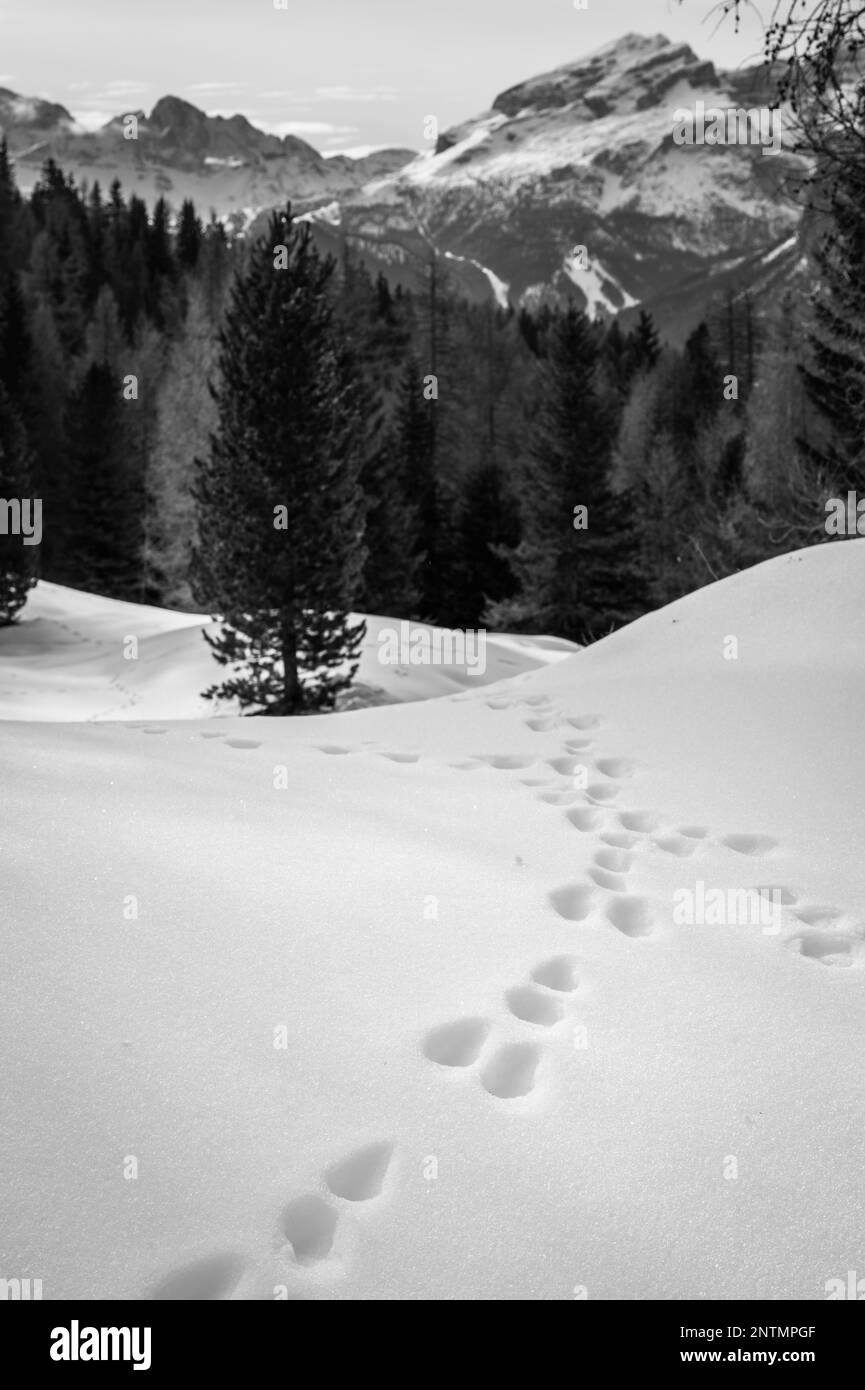 Alta Val Badia en hiver. Le village de la Val entouré par les Dolomites Banque D'Images
