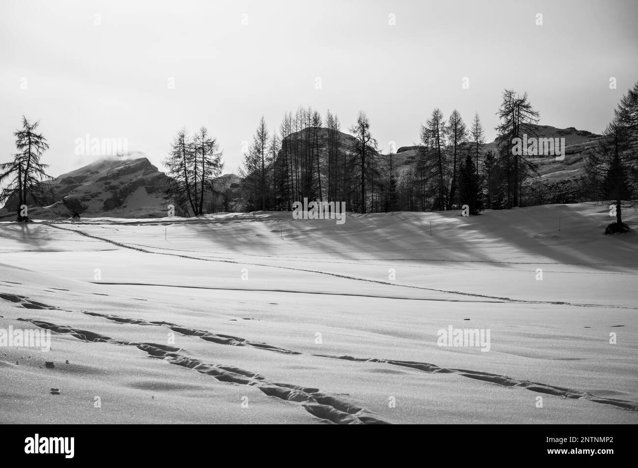 Alta Val Badia en hiver. Le village de la Val entouré par les Dolomites Banque D'Images