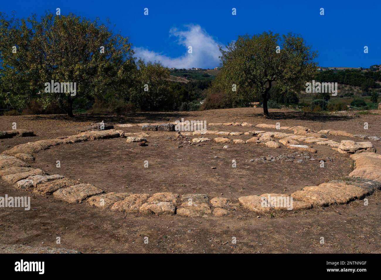 Des anneaux de dalles de pierre marquent les fondations d'un tholos, une ancienne structure en dôme entourée de colonnes, dans la Valle dei Templi ou la Vallée des temples à Agrigento, dans le sud de la Sicile, en Italie. Sept temples doriques monumentaux datant d'environ 580 av. J.-C. survivent ici au milieu des ruines de la ville Graeco-romaine d'Akragas ou d'Agrigentum. Banque D'Images