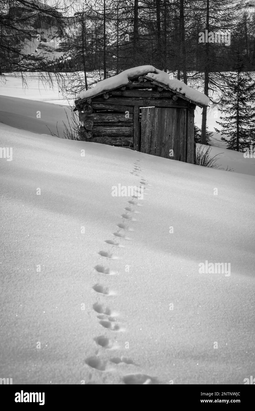 Alta Val Badia en hiver. Le village de la Val entouré par les Dolomites Banque D'Images