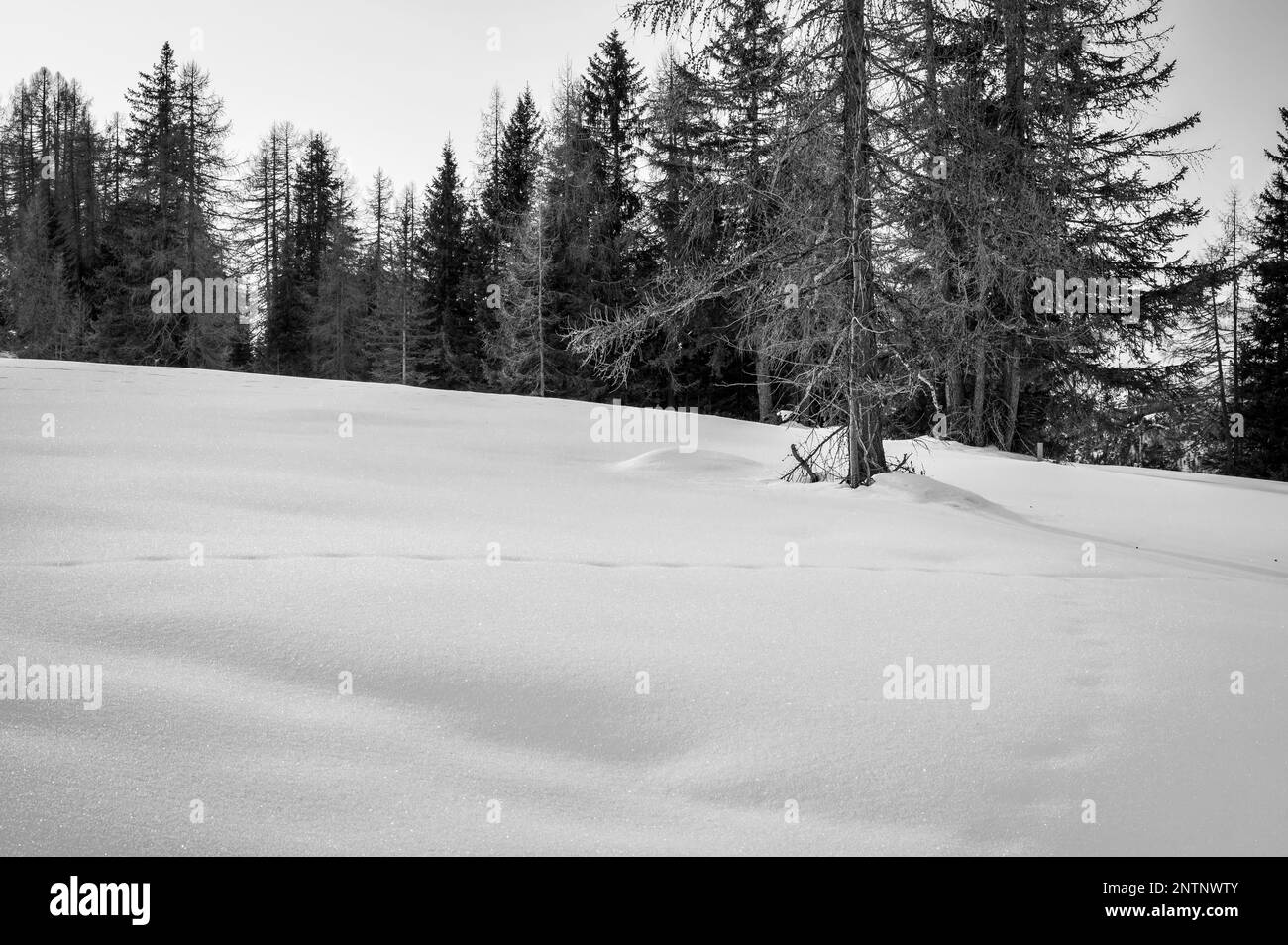 Alta Val Badia en hiver. Le village de la Val entouré par les Dolomites Banque D'Images