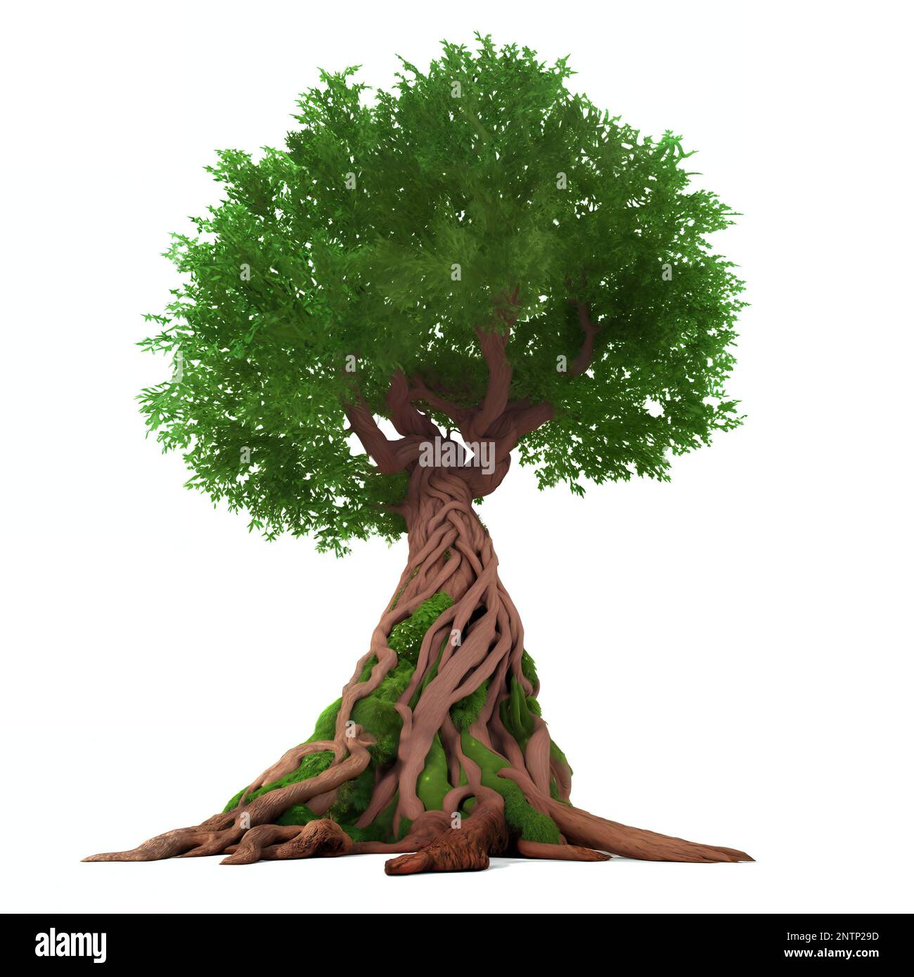 majestueux arbre de fantaisie, grande plante avec racines et feuillage, isolé sur fond blanc Banque D'Images