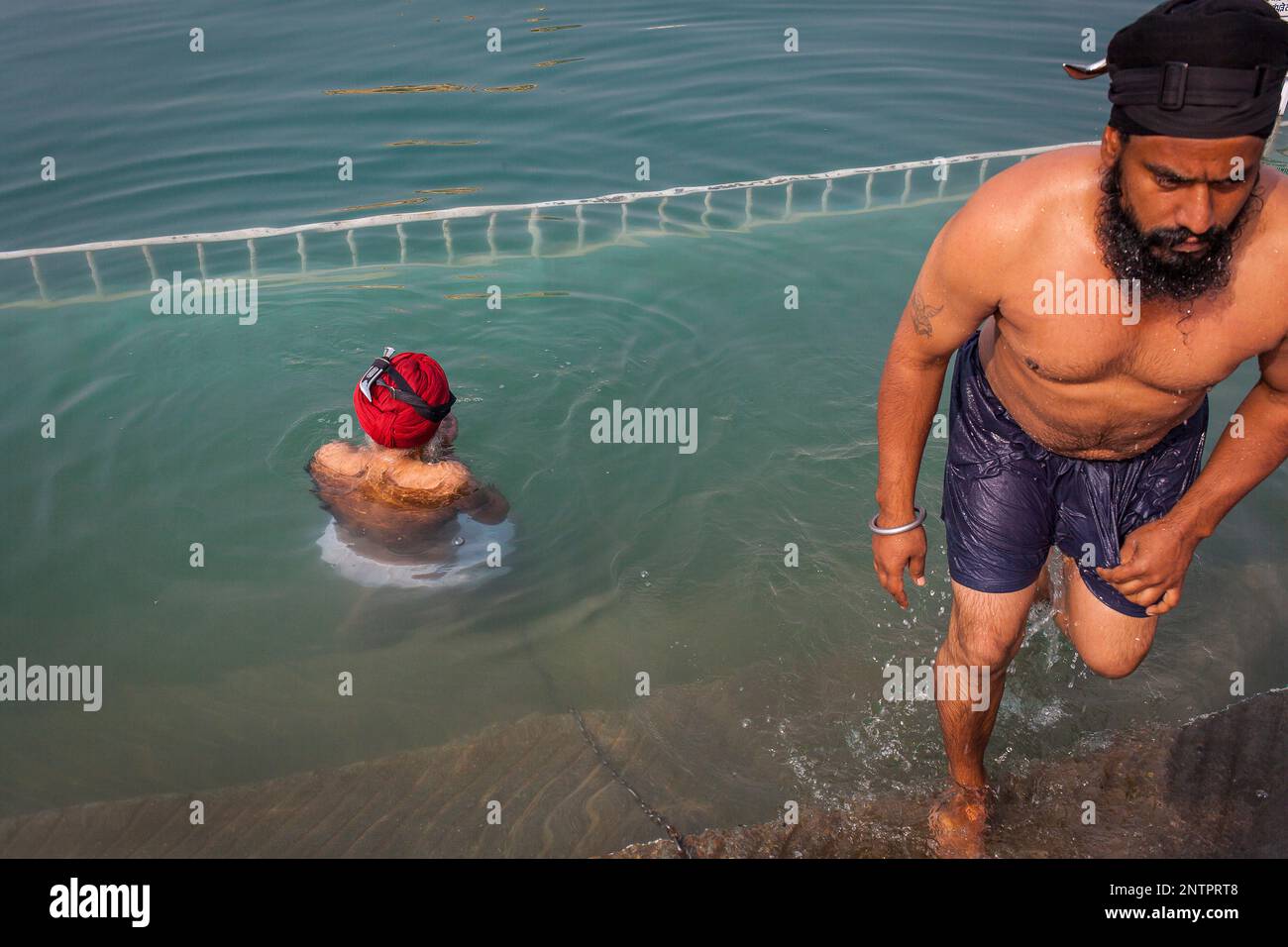 Les pèlerins se baigner dans le bassin sacré Amrit Sarovar, Golden Temple, Amritsar, Punjab, India Banque D'Images