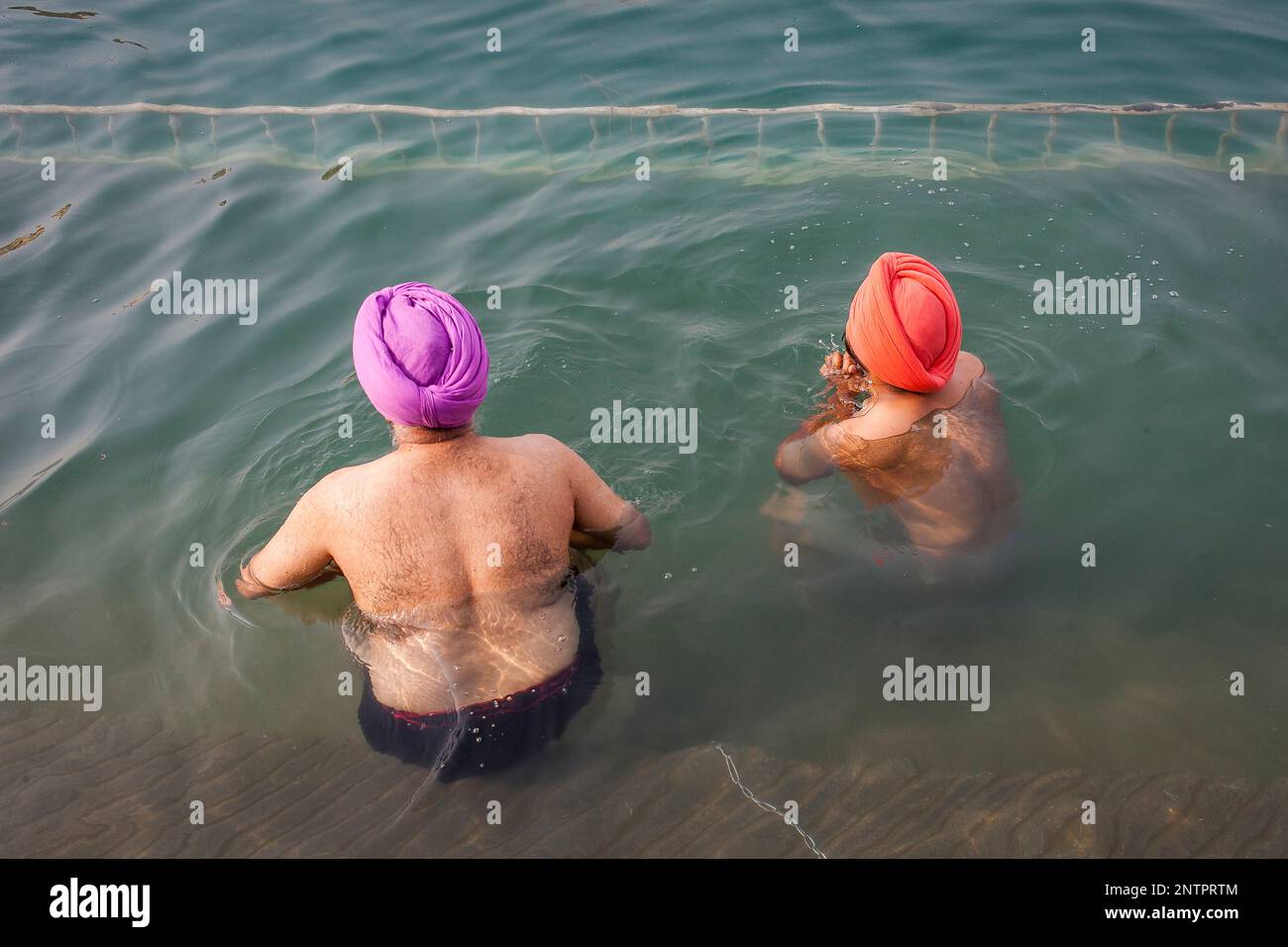 Les pèlerins se baigner dans le bassin sacré Amrit Sarovar, Golden Temple, Amritsar, Punjab, India Banque D'Images