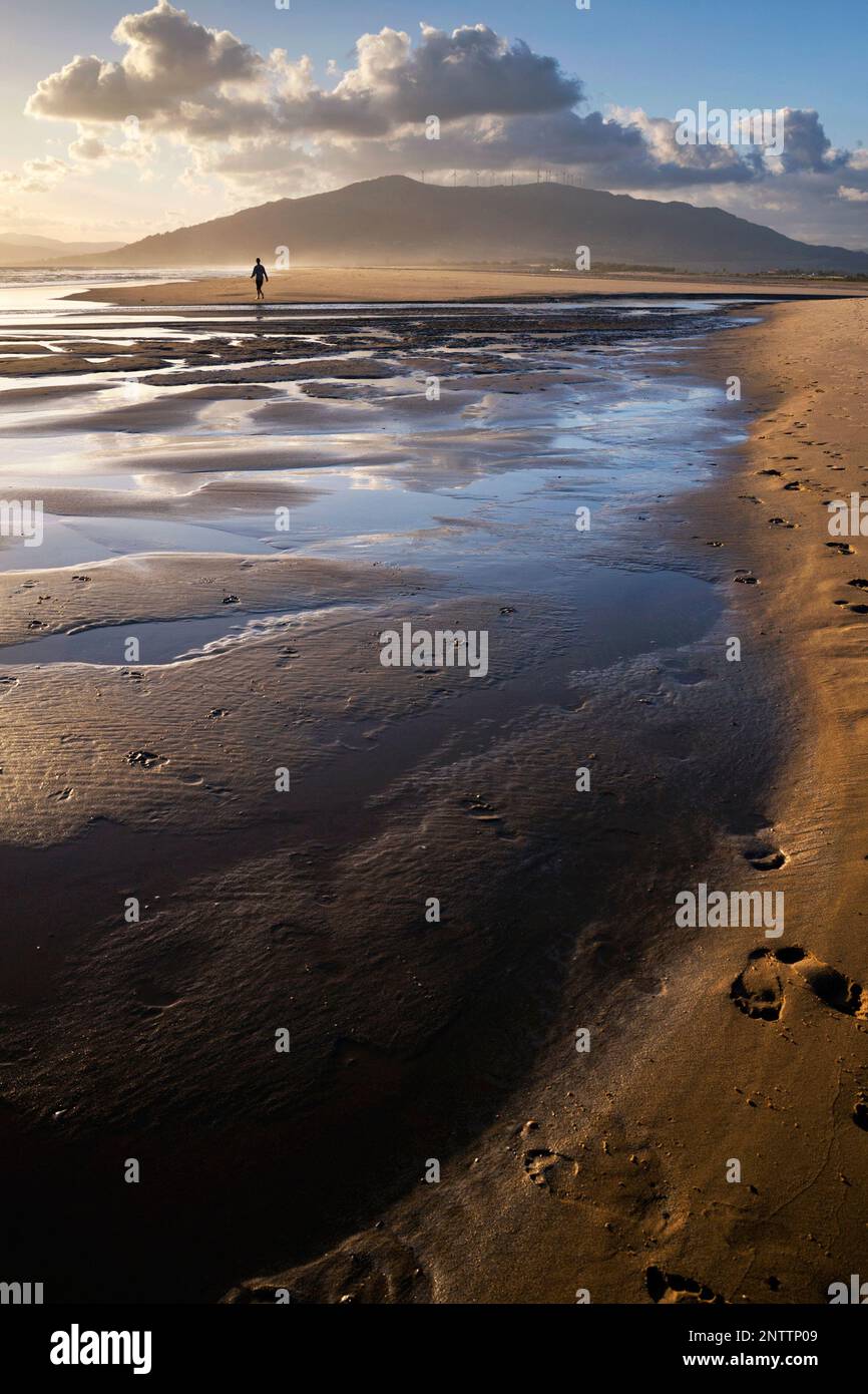 Promenades à marée basse à la plage de Los Lances, Tarifa, province de Cadix, Andalousie, SPAI Banque D'Images