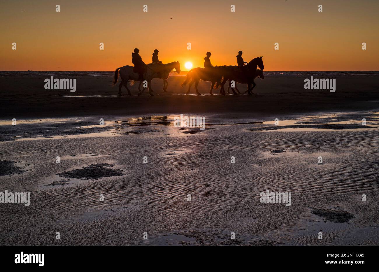 Promenade à cheval au coucher du soleil sur la plage de Los Lances, Tarifa, province de Cadix, Andalousie, Espagne Banque D'Images