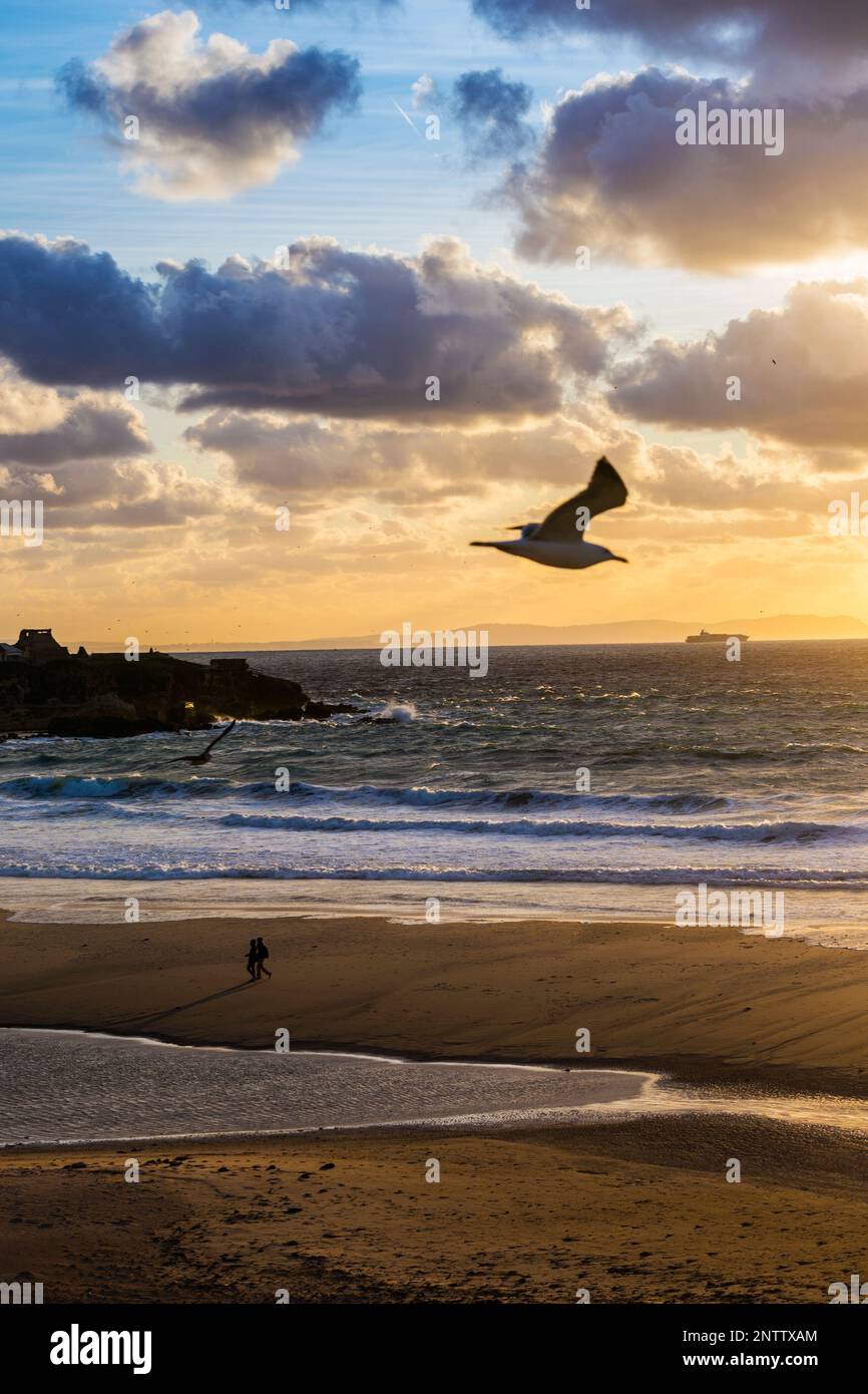 Coucher de soleil avec des oiseaux volants à la plage de Los Lances, Tarifa, province de Cadix, Andalousie, Espagne Banque D'Images