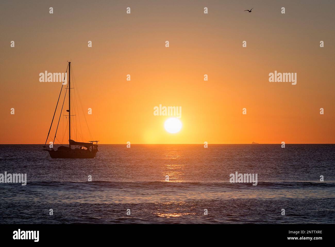 Voilier ancré au coucher du soleil à la plage de Los Lances, Tarifa, province de Cadix, Andalousie, Espagne Banque D'Images