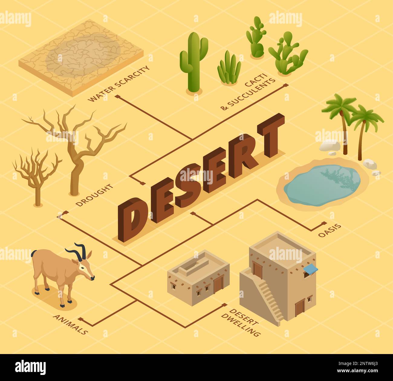 Diagramme isométrique du désert illustrant la rareté de l'eau sécheresse animaux cactus et succulents oasis et illustration de vecteur de logement Illustration de Vecteur
