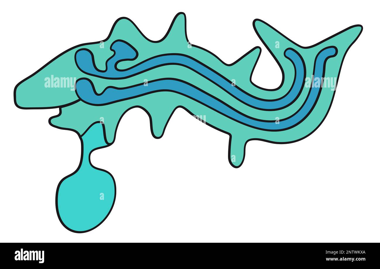 Geoglyphe de la baleine de Nazca, les lignes de Nazca, désert de Nazca, Pérou - illustration vectorielle Illustration de Vecteur