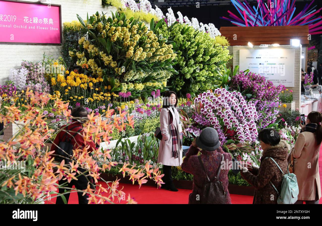 People view orchid flowers of the Japan Grand Prix International Orchid Festival at Tokyo Dome in Bunkyo Ward, Tokyo on Feb. 15, 2019, opening day of the festival. About 3,000 varieties, 100,000 orchids from 18 countries and regions are displayed untill February 22. ( The Yomiuri Shimbun via AP Images ) Banque D'Images