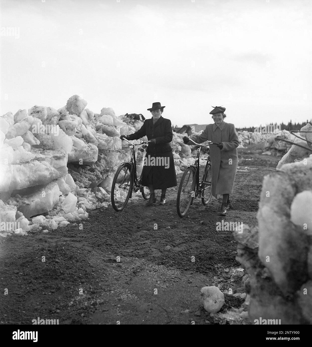 Catastrophe naturelle en 1940s. Au début de l'été 20-23 mai 1944, l'eau de la rivière Torne älv a inondé en raison d'une masse de glace qui a étouffé l'eau 3,5 mètres plus haut que la normale. Les conséquences ont été graves. Sur les terrains environnants, des mètres de glace ont été laissés derrière lorsque l'eau s'est écoulée et a détruit les bâtiments de la ferme et couvrant les champs. La route principale qui vient d'être dégagée de la couverture de glace et deux femmes locales qui conduisent leurs bicyclettes près du village de Korpikylä près de Skogskärr Kristoffersson réf. H119-4 Banque D'Images