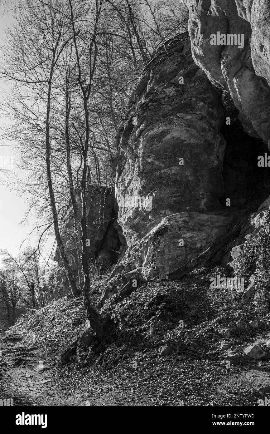 Europe, Luxembourg, Mullerthal, le sentier de Mullerthal passant des formations rocheuses ressemblant à des visages humains en hiver Banque D'Images