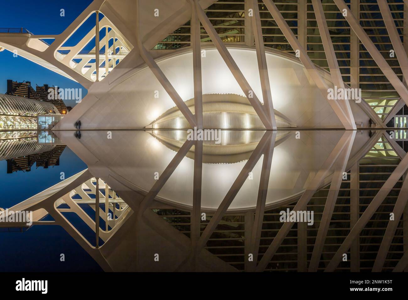 Le musée des Sciences principe Felipe, bâtiment latéral, se reflète dans l'eau. La photo a été prise le 10th février 2023 à la City of Arts and Sciences com Banque D'Images