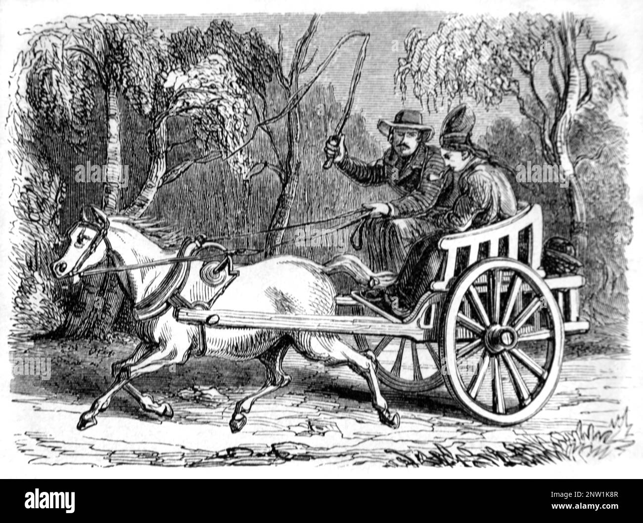Coachman conduisant un cheval et un chariot pour deux personnes, un chariot tiré par un cheval ou un chariot en Laponie ou dans la région de Sapmi en Scandinavie. Gravure ancienne ou illustration 1862 Banque D'Images