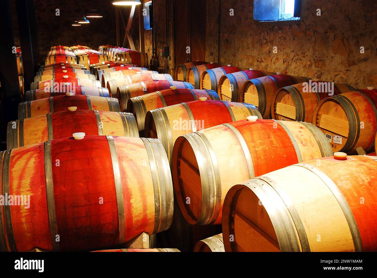 Barils de vin âge dans un sous-sol Banque D'Images