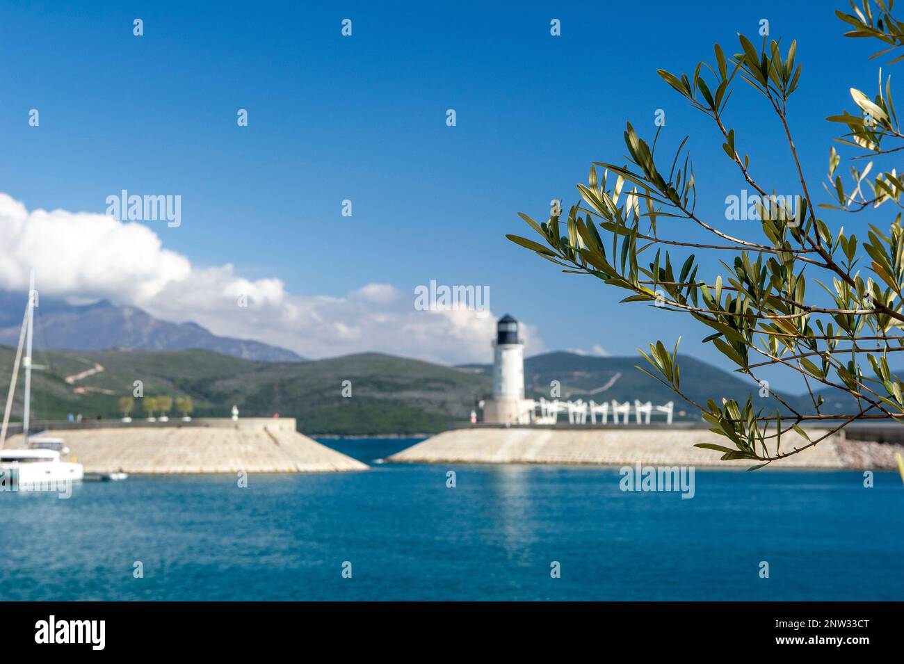 Un détail d'une branche d'olivier et en arrière-plan le phare dans le haut de la baie de Luštica, au Monténégro Banque D'Images