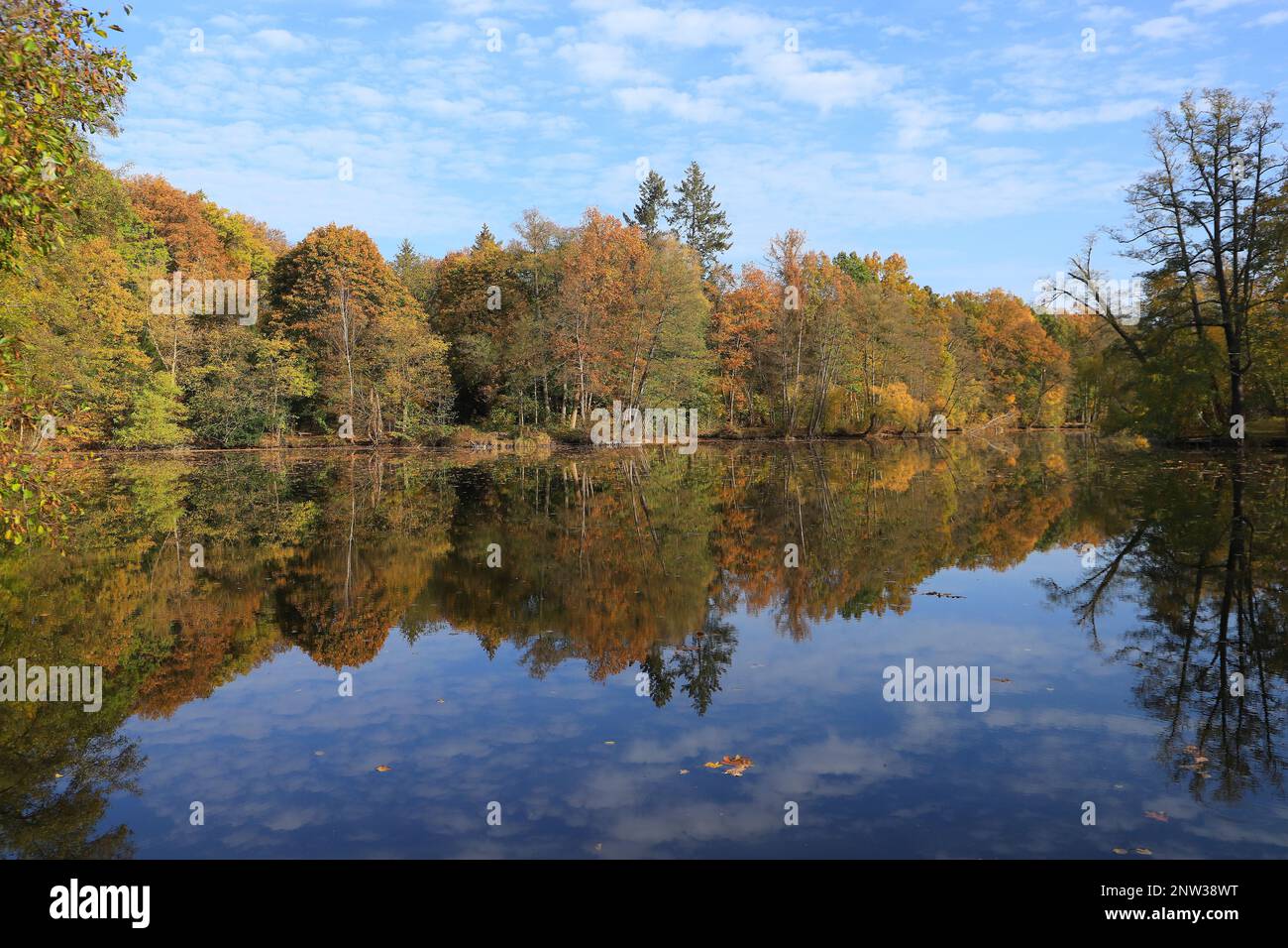 Le Mühlenteich (étang du moulin) au château de Dammsmühle en automne, état fédéral de Brandebourg - Allemagne Banque D'Images