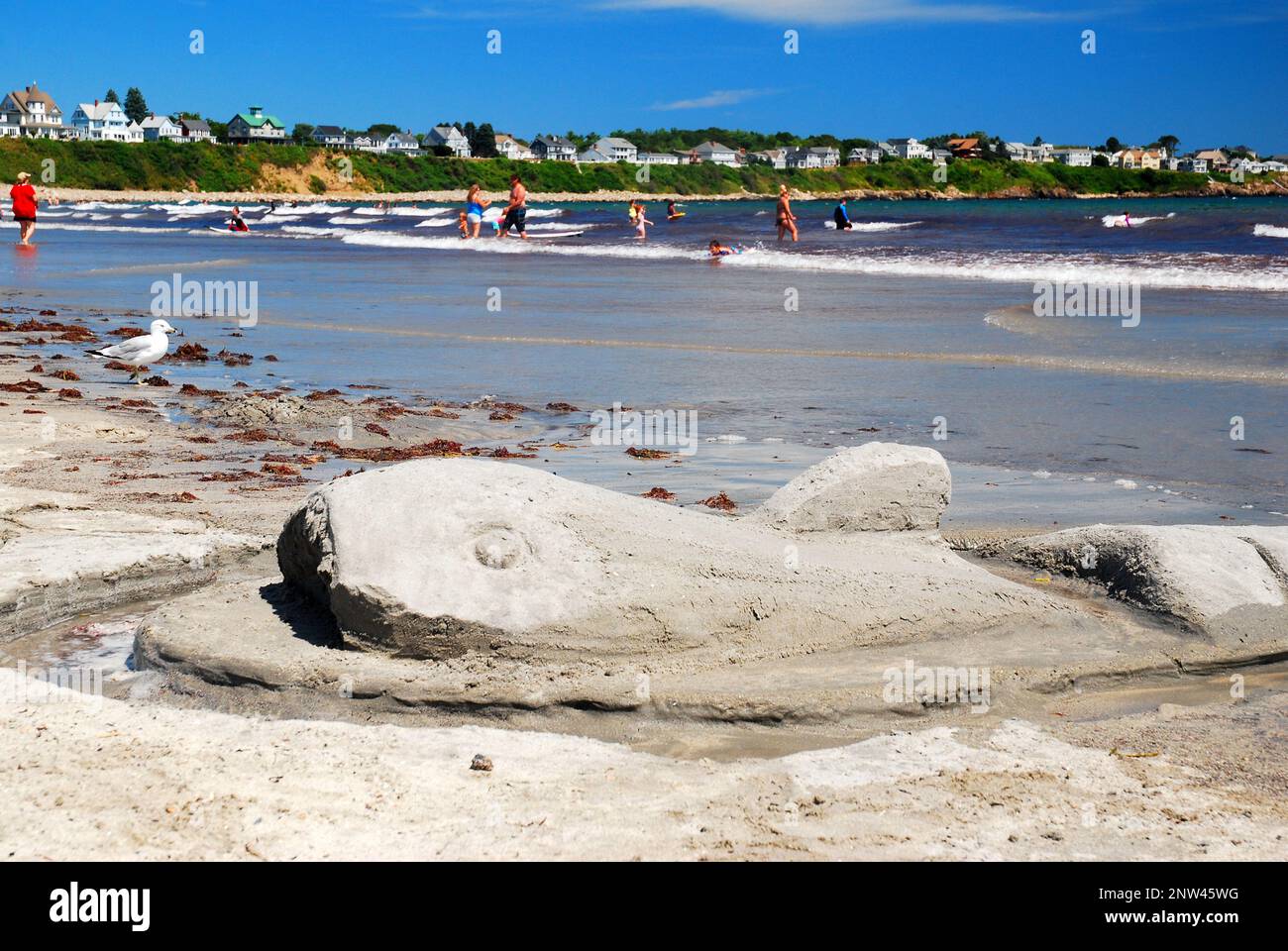 Une sculpture de sable de requin n'est pas aussi effrayante sur une plage du Maine près du rivage de l'océan Banque D'Images