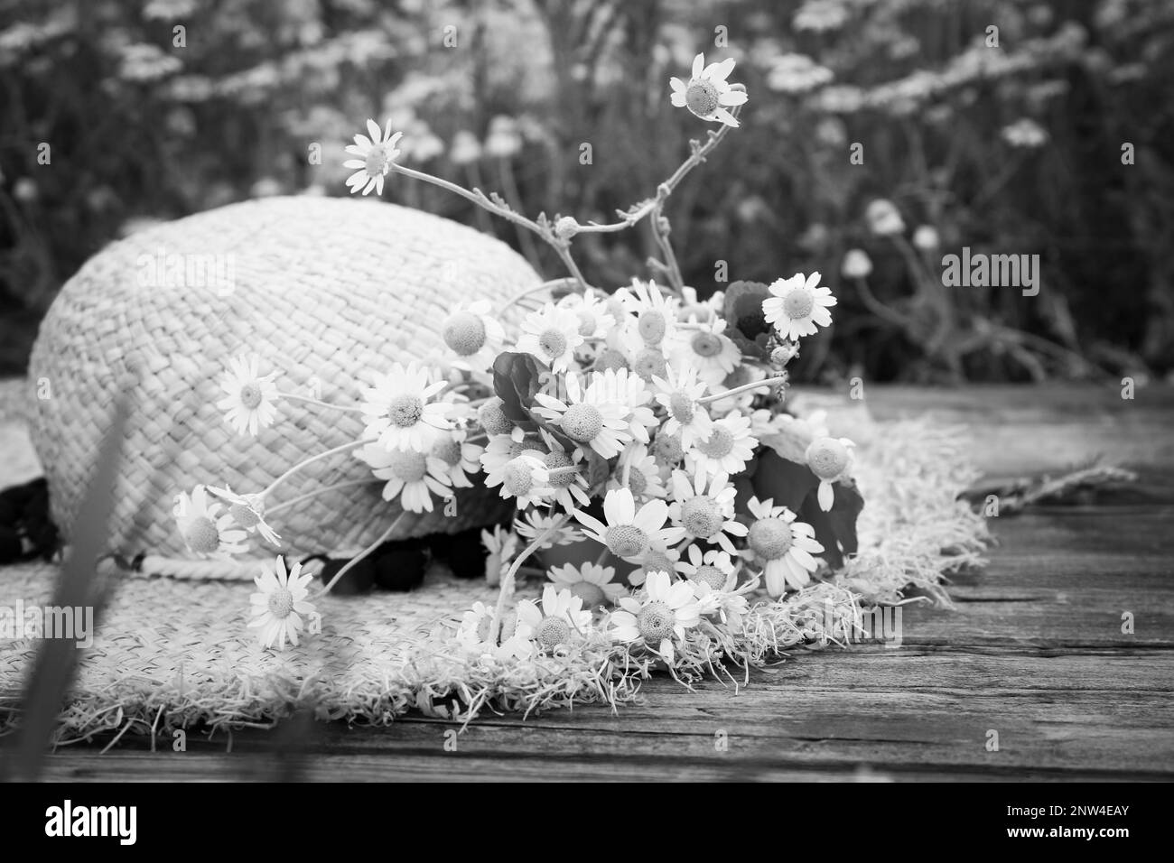 Bouquet de fleurs sauvages avec chapeau de paille sur une surface en bois à l'extérieur. Ton noir et blanc Banque D'Images