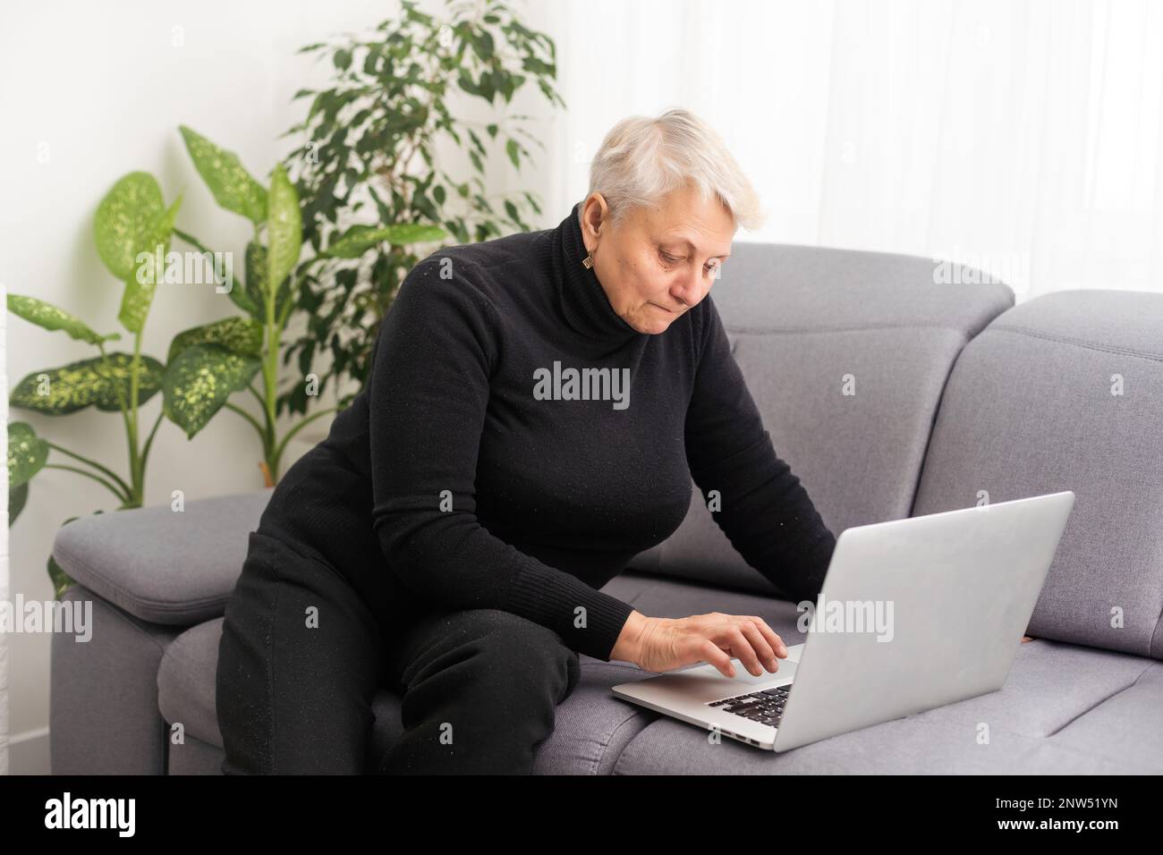 Vue avant concentrée agréable mature femme âgée regardant l'écran d'ordinateur. Bonne dame d'âge moyen surfer sur le Web, commander de la nourriture en ligne Banque D'Images