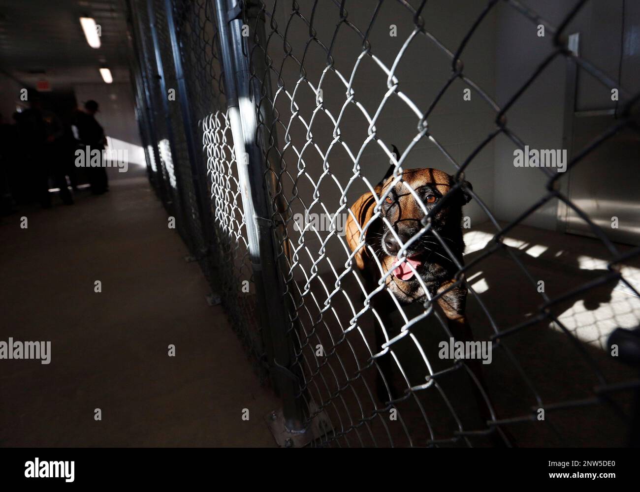 In Monday, Dec. 17, 2018 photo, following a grand opening ceremony