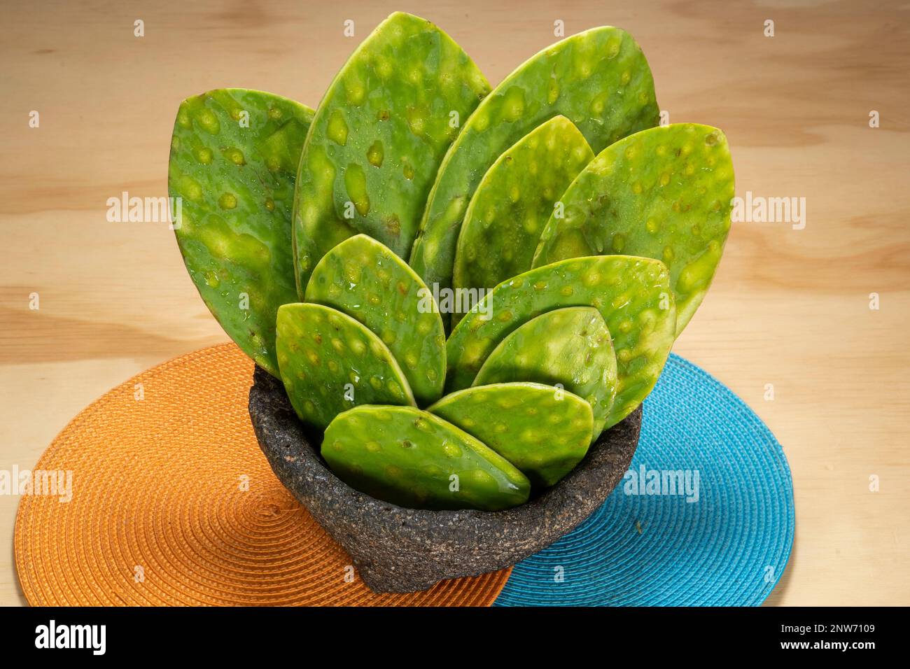 Groupe de nopales fraîches avec des épines nettoyées ou rasées, dans un outil de molajete ou de pierre. Cactus comestibles, cuisine mexicaine traditionnelle. Banque D'Images