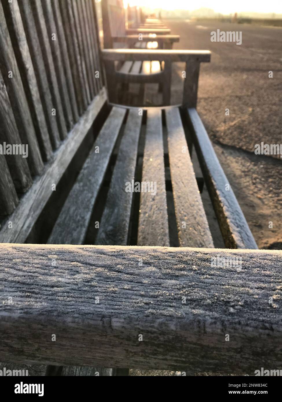 La lumière du matin se reflète sur l'accoudoir gelé glacé d'un banc de bord de mer d'autres bancs se dissolvent dans la distance automne, hiver, solitude romance Banque D'Images