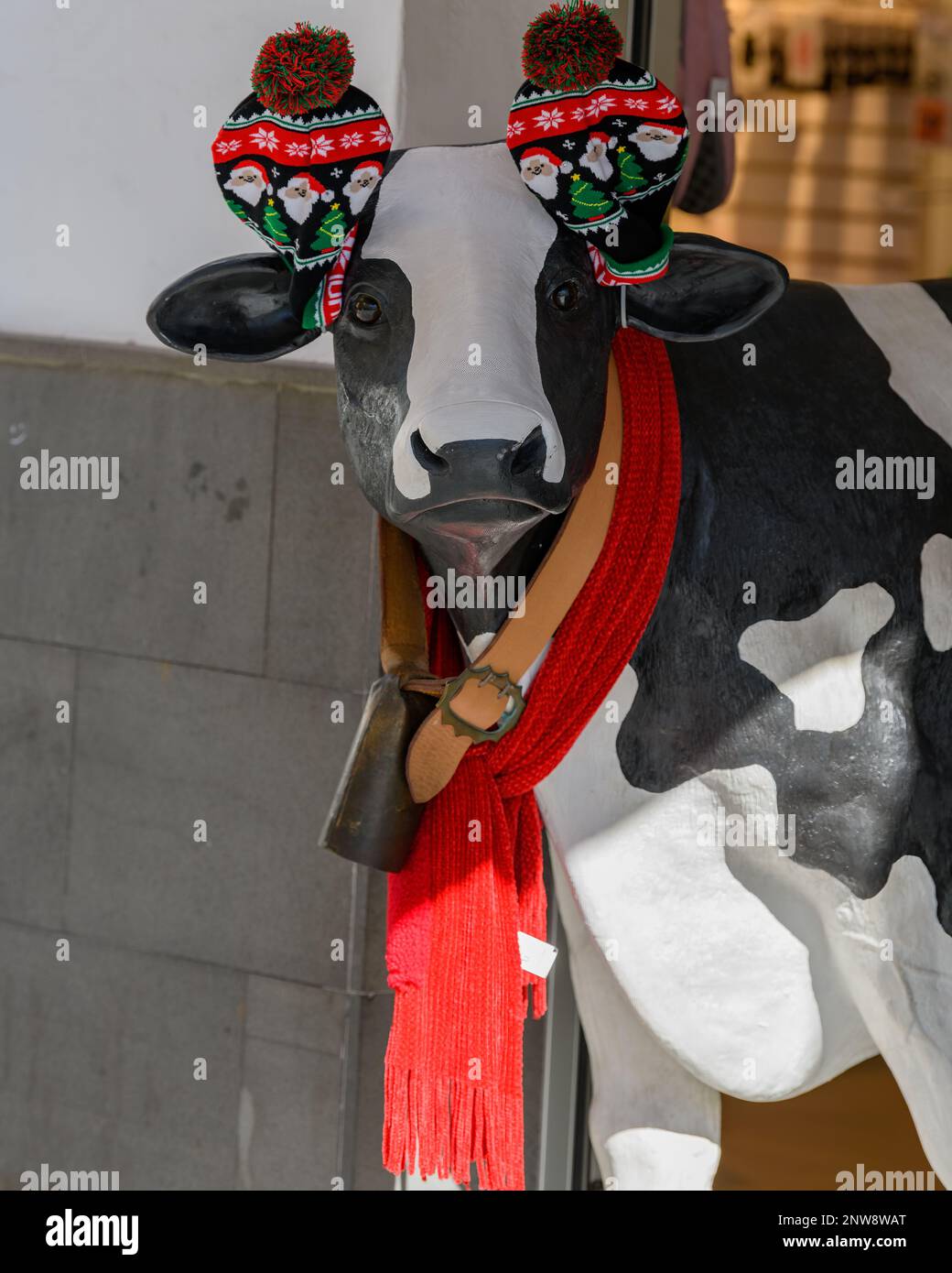 Une vache festive (mannequin) dans un magasin à Candelaria à l'approche de Noël. Banque D'Images
