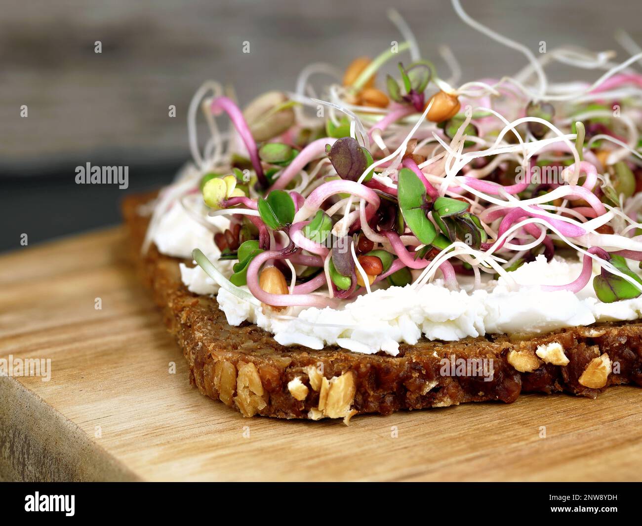 Gros plan de pain à grains entiers avec fromage à la crème et mélange de pousses sur planche à découper en bois, petit déjeuner sain avec micro-légumes verts Banque D'Images