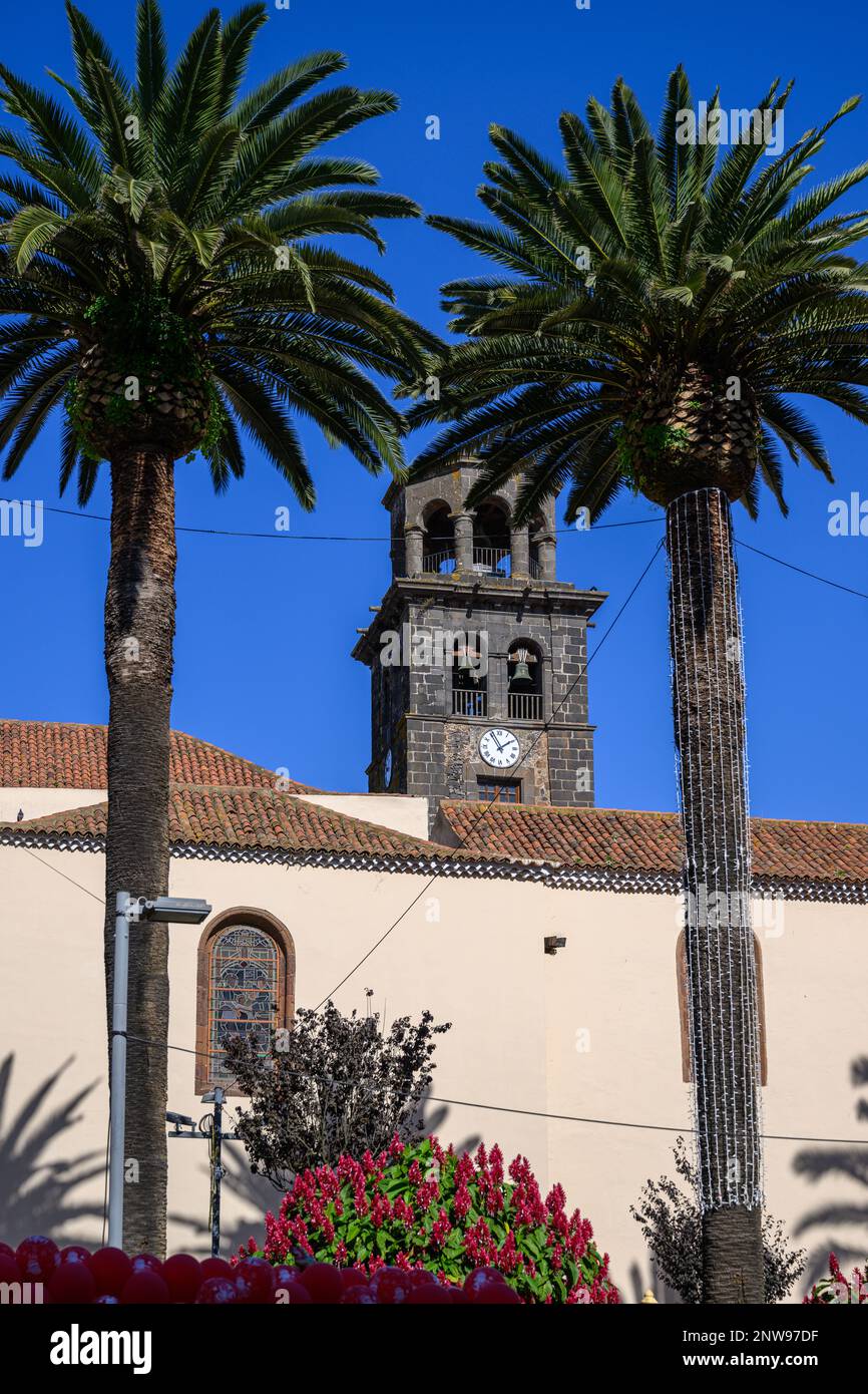 De grands palmiers encadrent la tour de l'église de l'Immaculée conception à San Cristobal de la Laguna à Tenerife. Banque D'Images