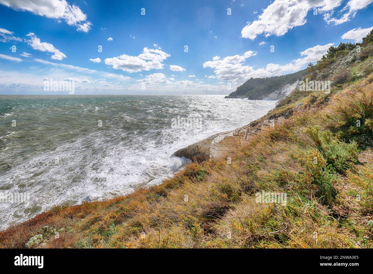 Au-dessus des falaises sur la côte de Vieste. Côte rocheuse d'été Baia Di Campi Vieste sur la péninsule de Gargano, Puglia, Italie Banque D'Images