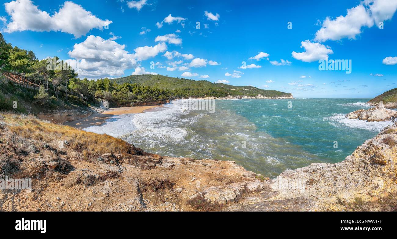 Au-dessus des falaises sur la côte de Vieste. Côte rocheuse d'été Baia Di Campi Vieste sur la péninsule de Gargano, Puglia, Italie Banque D'Images