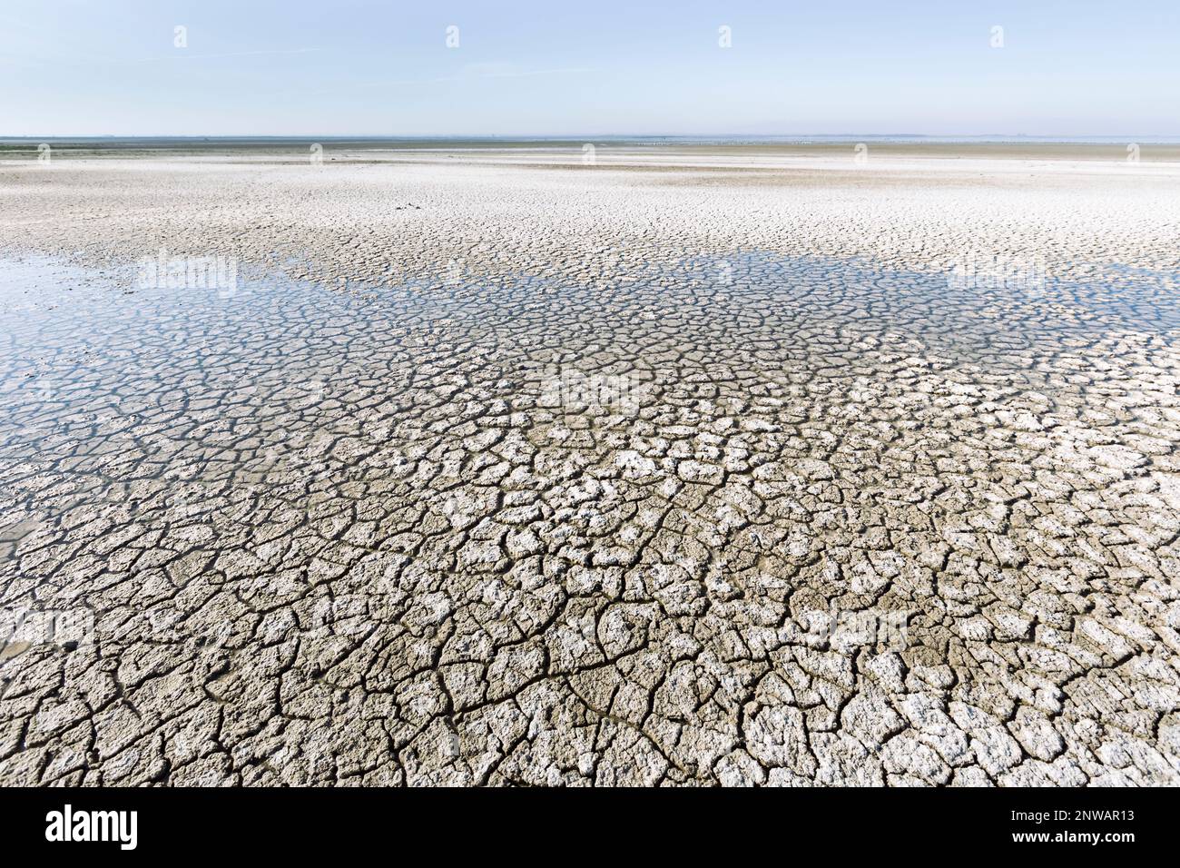 En Californie, la mer de Salton s'assèche rapidement en raison de la sécheresse persistante et de la diminution des apports de ruissellement agricole alimentés par le fleuve Colorado. Banque D'Images
