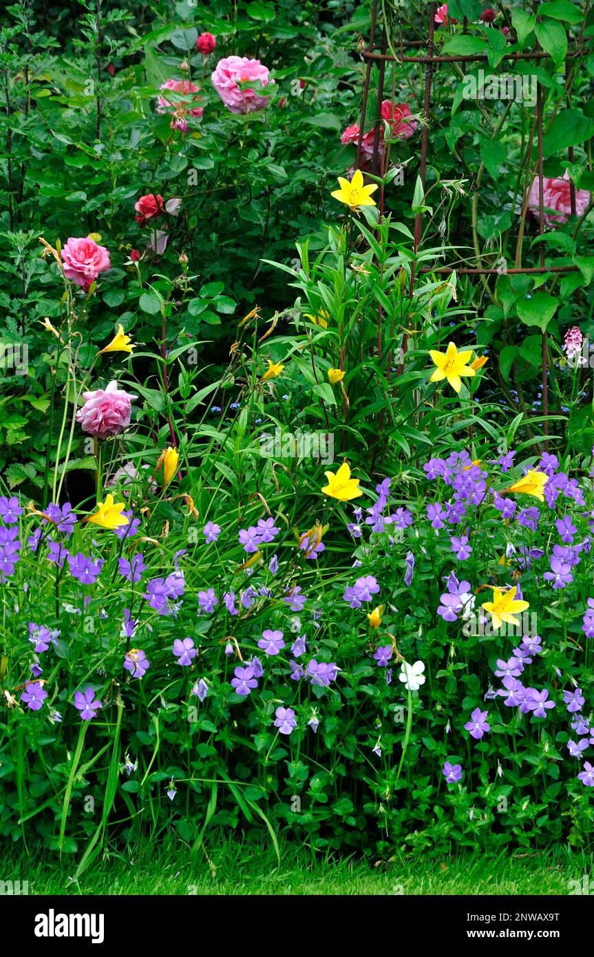 portrait de jardin de la maison de fleurs lit avec géraniums, lilas et roses Banque D'Images