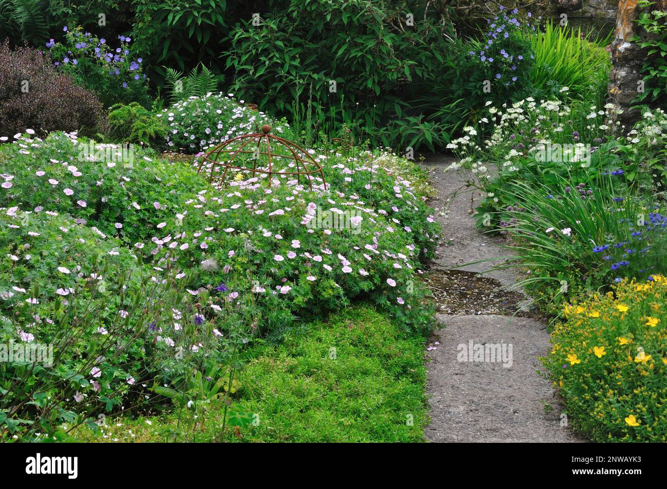 Chemin de jardin à travers les bordures de fleurs vivaces et les arbustes Banque D'Images