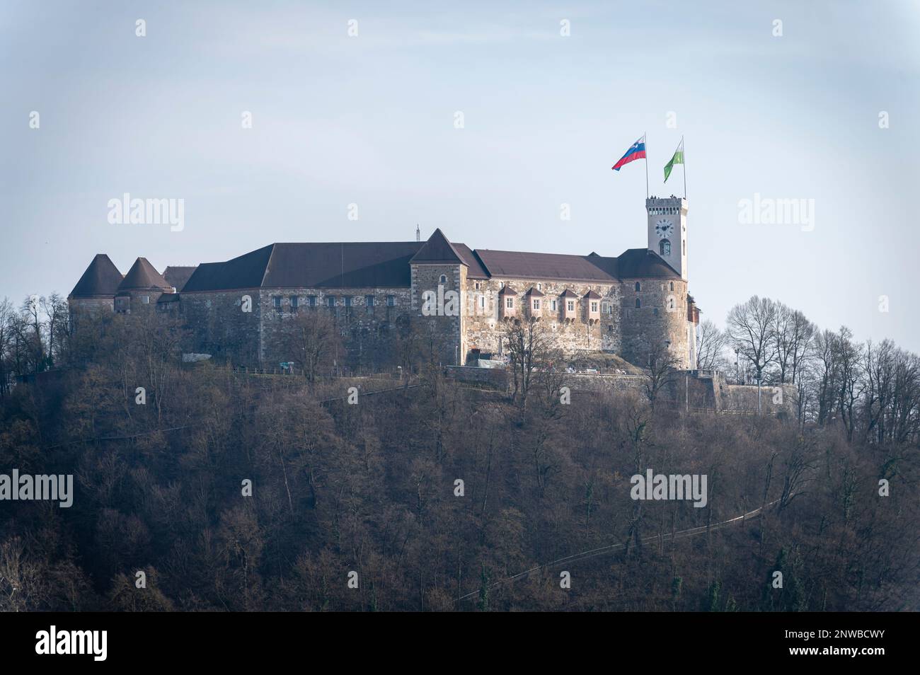 Château de Ljubljana, vue de Nebotičnik, Ljubljana, Slovénie Banque D'Images