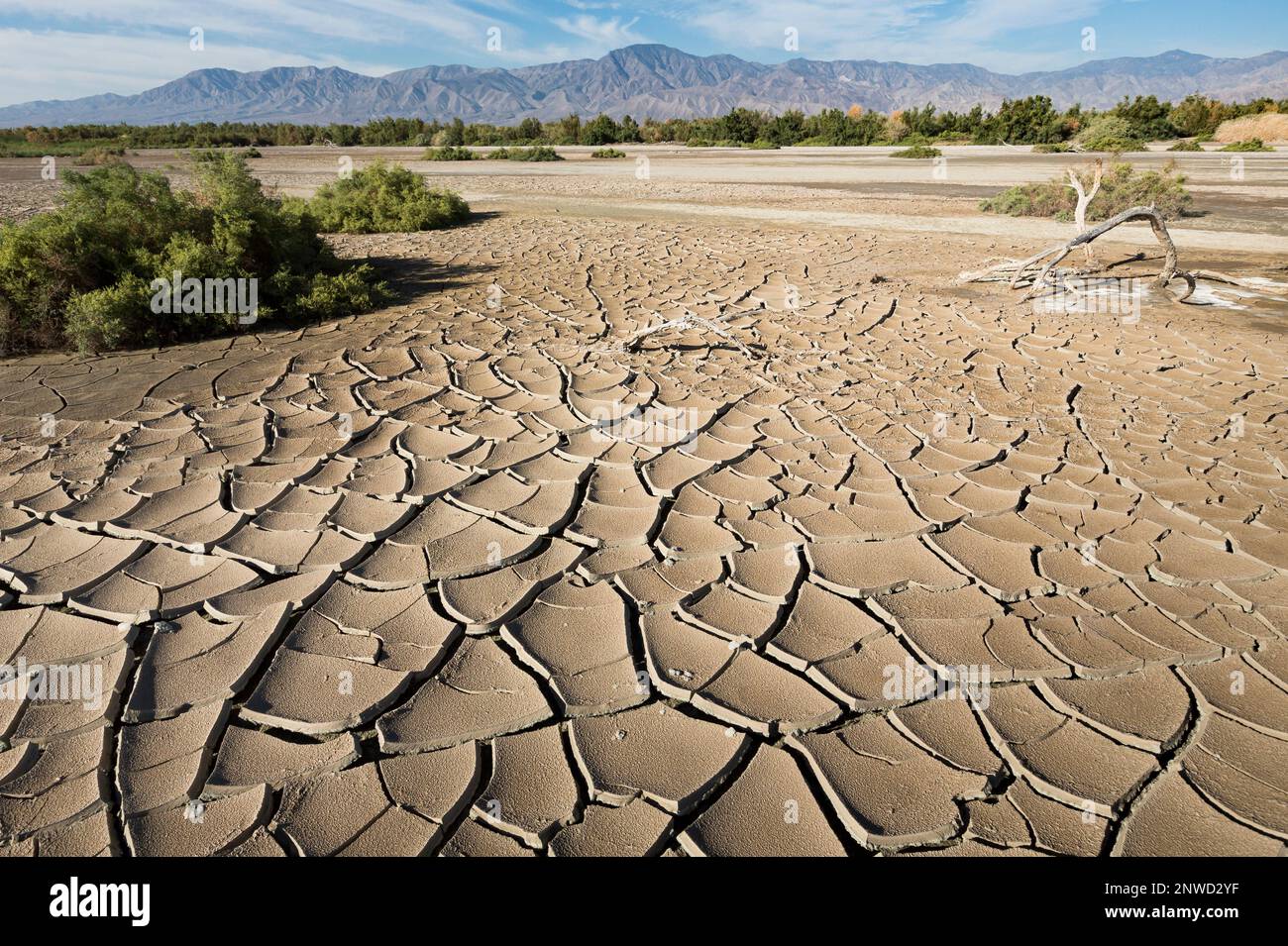 Il ne reste pas une lame d'herbe sur le terrain de golf Sidewinder dans la vallée impériale de Californie, frappée par la sécheresse. Banque D'Images