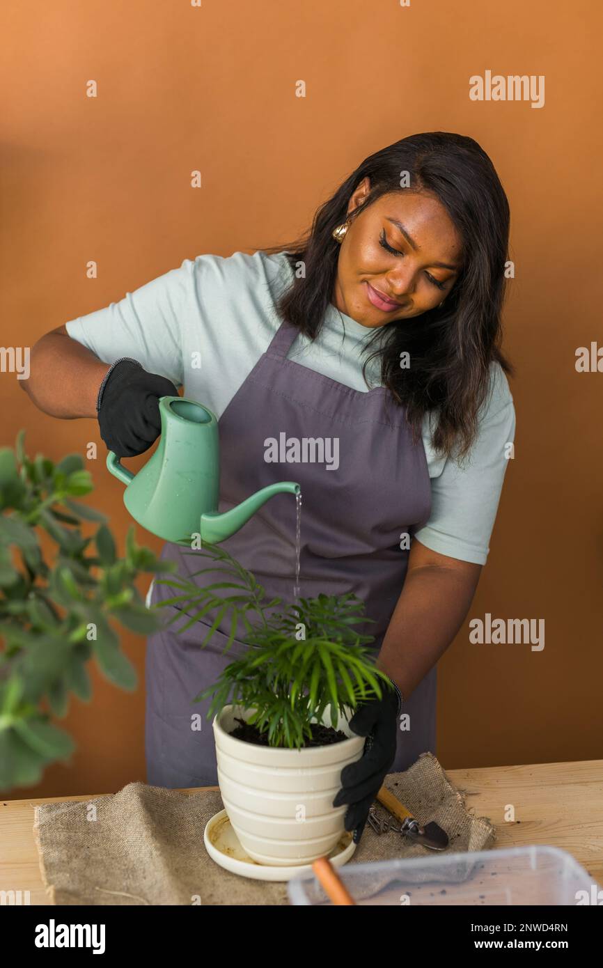 Femme afro-américaine arrosoir plante dans le nouveau pot