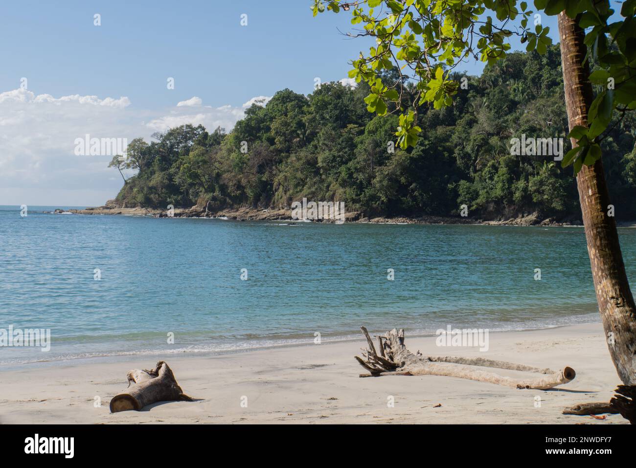 plage littoral paysage dans le parc national Manuel Antonio Banque D'Images