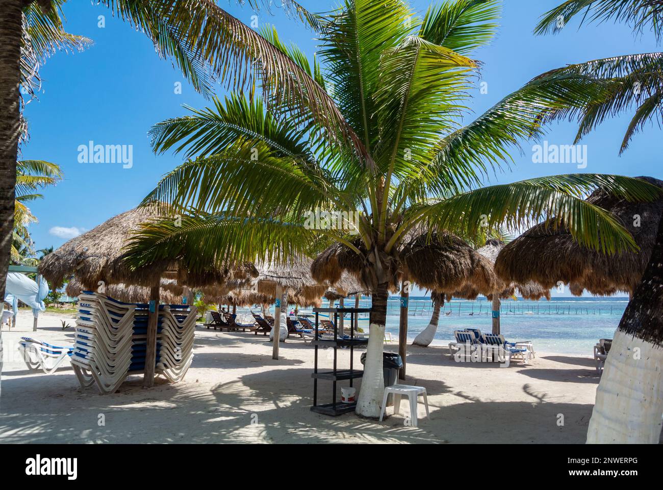 Mahahual, Quintana Roo, Mexique, Un paysage avec des palmiers sur la plage de Mahahual Banque D'Images