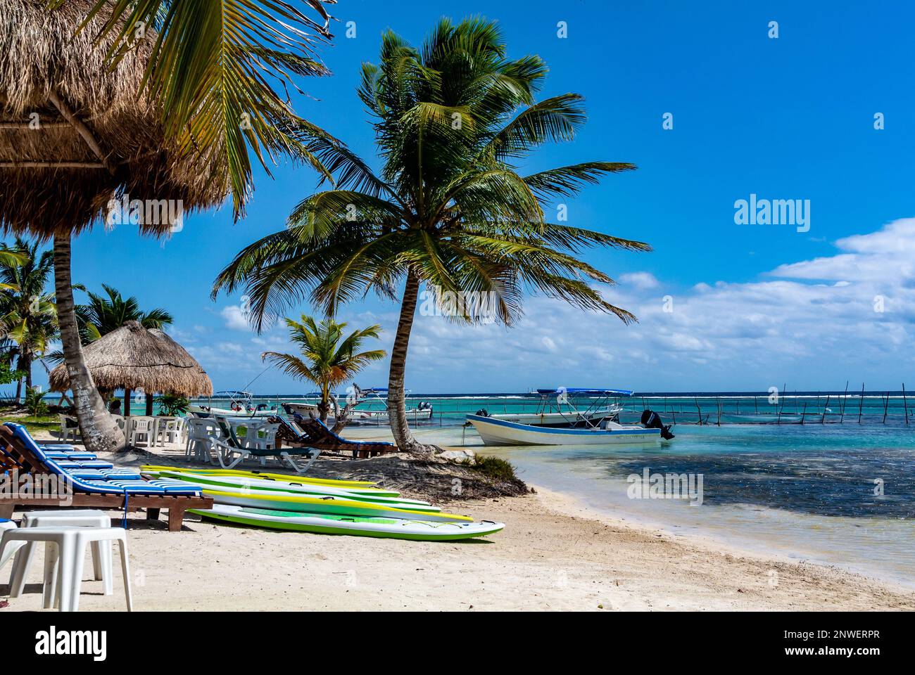 Mahahual, Quintana Roo, Mexique, palmiers sur la plage de Mahahual Banque D'Images