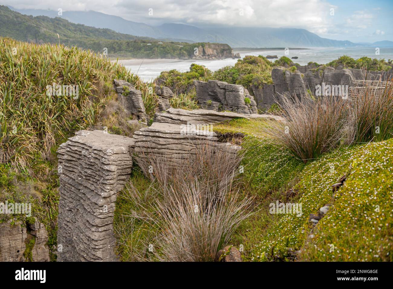 Rochers de crêpes à Punakaiki, sur la côte ouest de l'île du Sud, en Nouvelle-Zélande Banque D'Images