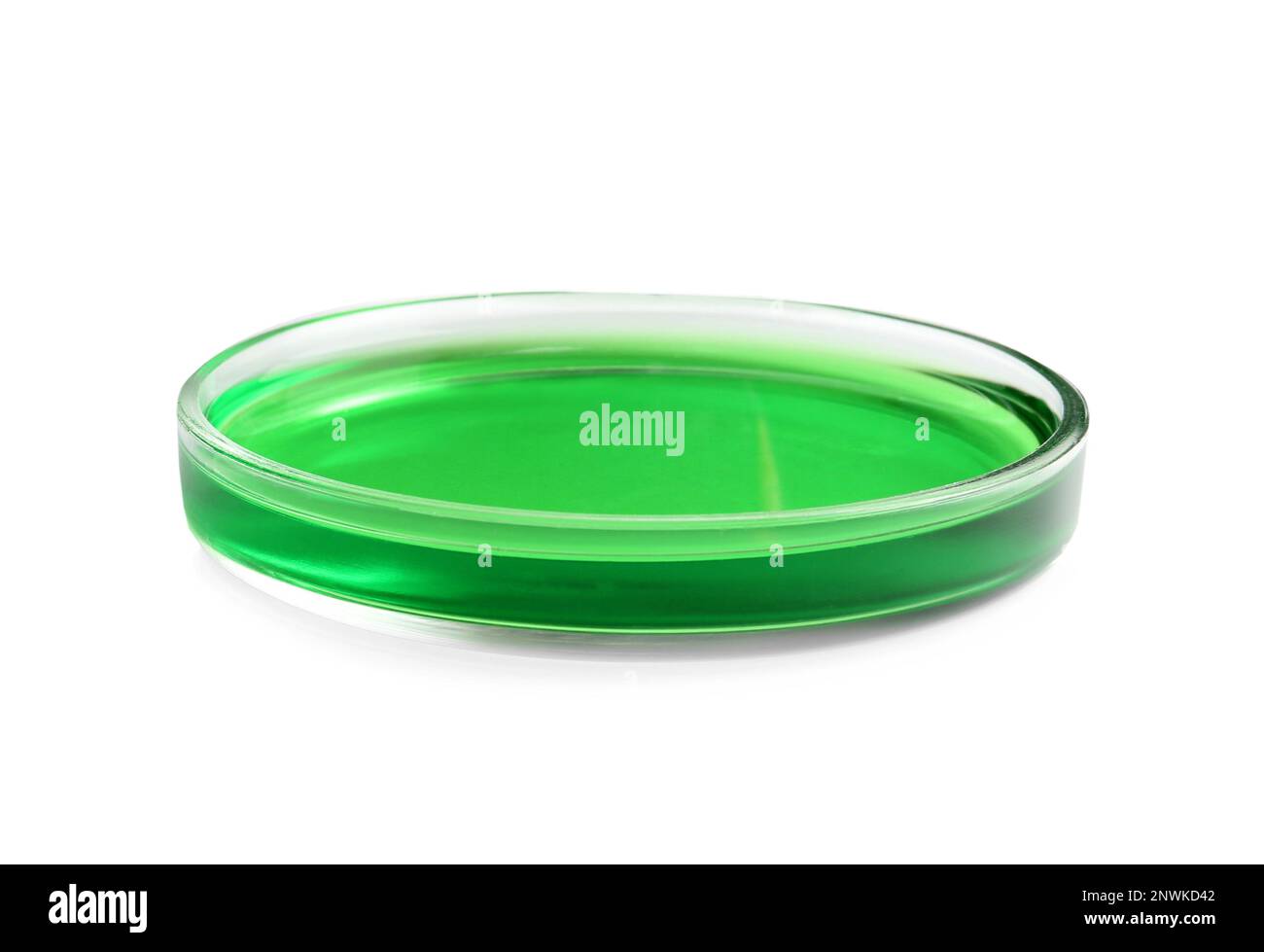 Boîte de Pétri avec échantillon liquide vert isolé sur blanc Banque D'Images