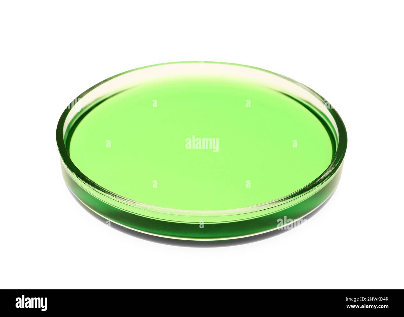 Boîte de Pétri avec échantillon liquide vert isolé sur blanc Banque D'Images