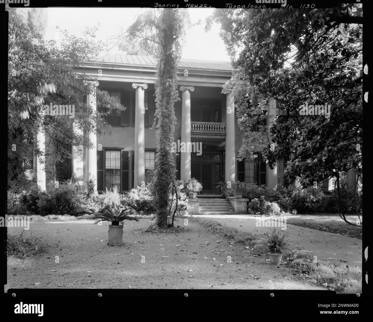 Dearing House, Tuscaloosa, comté de Tuscaloosa, Alabama. Carnegie Etude de l'architecture du Sud. États-Unis, Alabama, Tuscaloosa County, Tuscaloosa, Columns, Capitales, colonnes . Banque D'Images