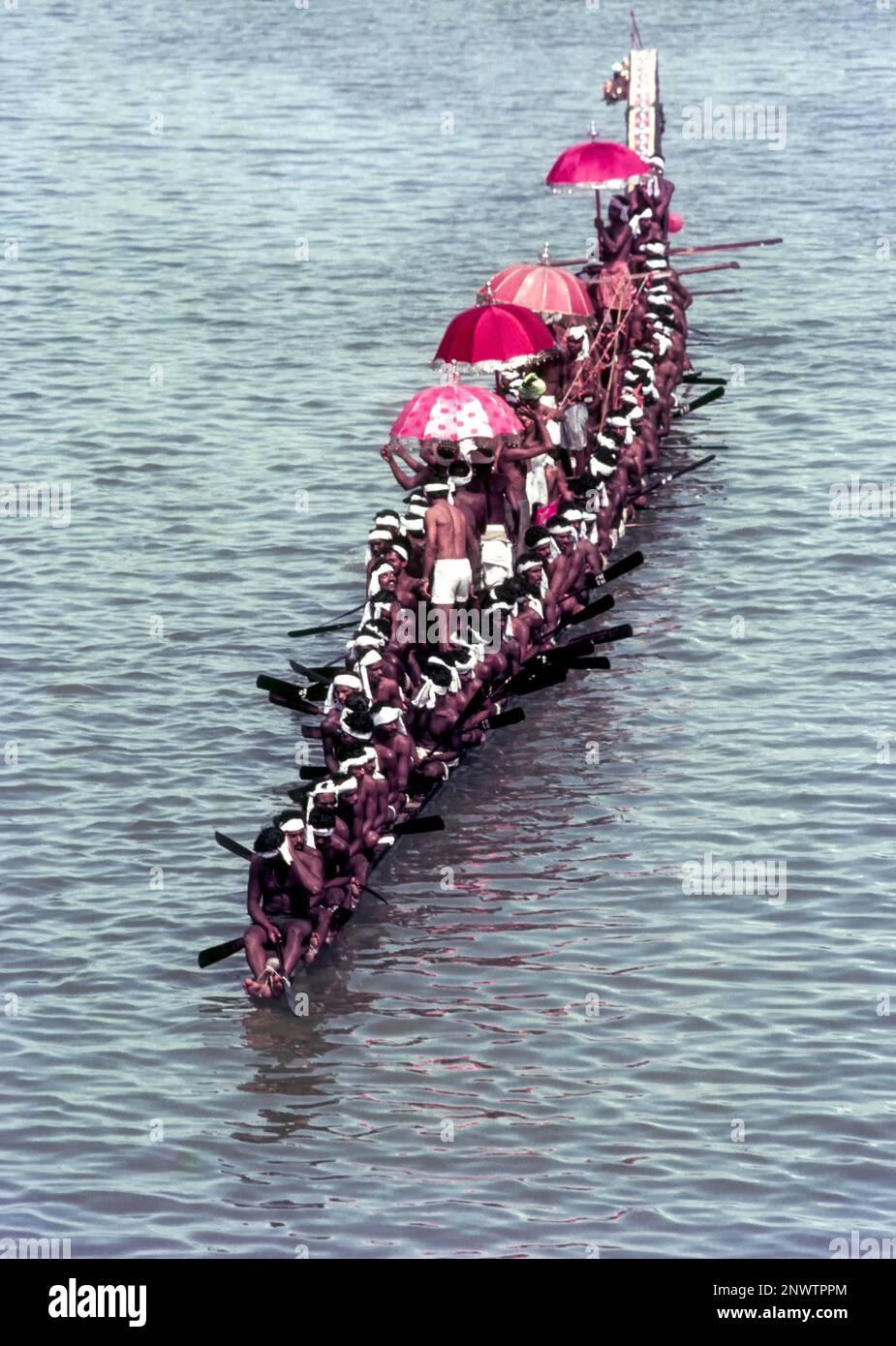Un bateau à serpents entièrement décoré (Chundan Vallam) avec des hommes de charans à Payippad près de Haripad Kerala, Inde, Asie Banque D'Images