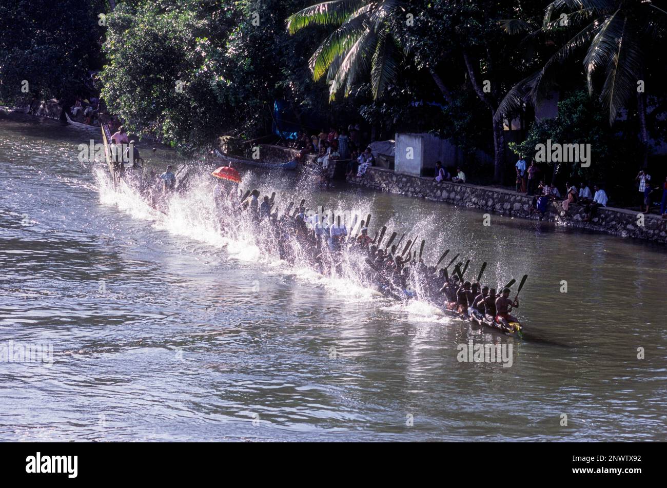 Courses de bateaux de serpent à Payippad près de Haripad, Kerala, Inde du Sud, Inde, Asie Banque D'Images