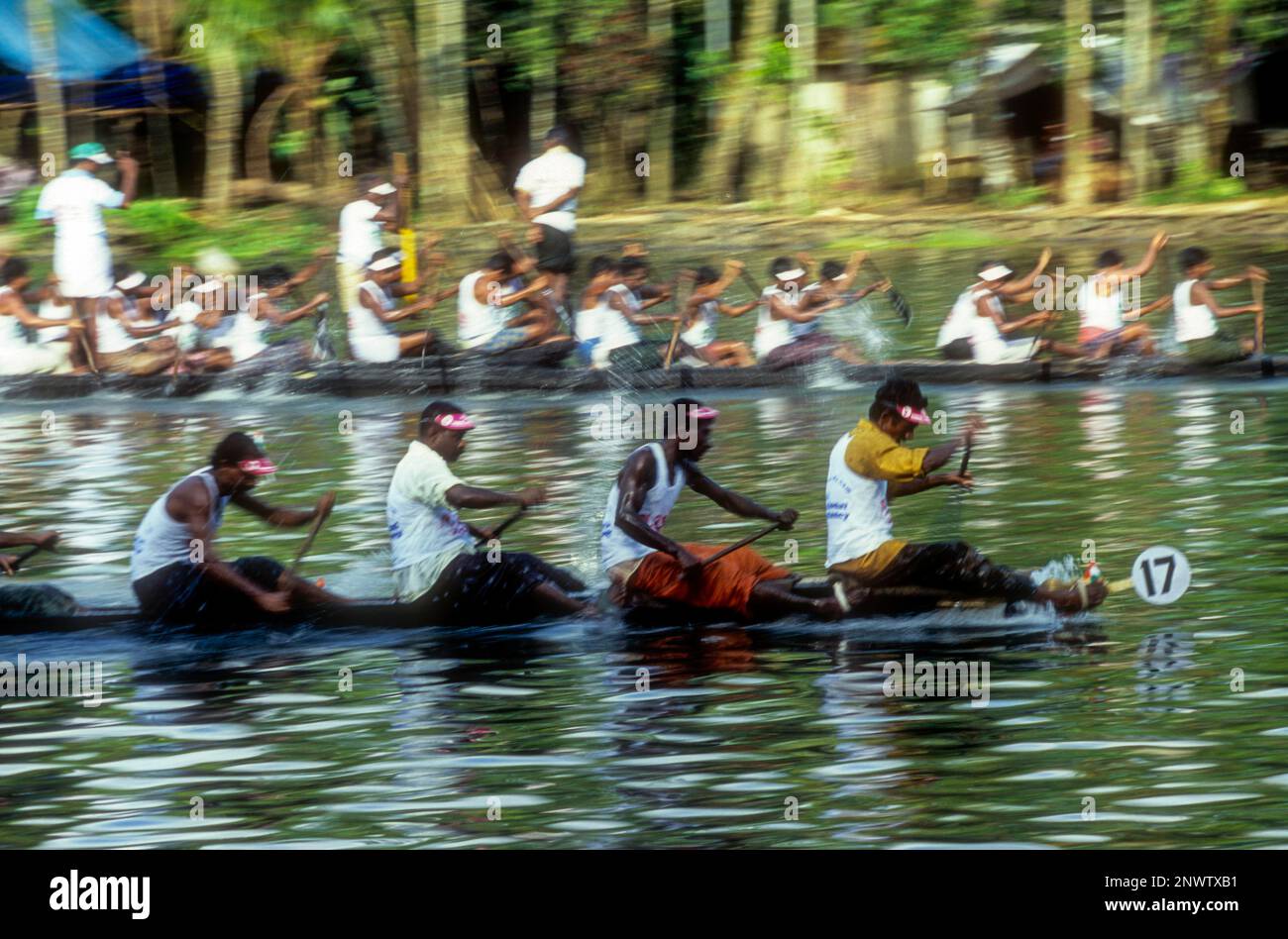 Courses de bateaux de serpent à Payippad près de Haripad, Kerala, Inde du Sud, Inde, Asie Banque D'Images